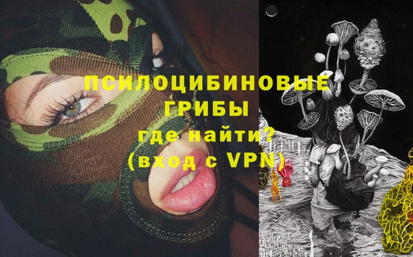 молекула духа Инта